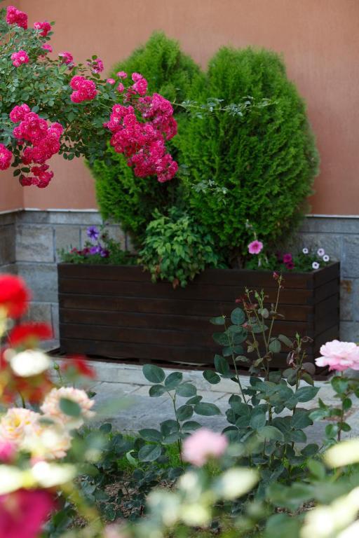 Spa Hotel Calista Starozagorski Bani Εξωτερικό φωτογραφία